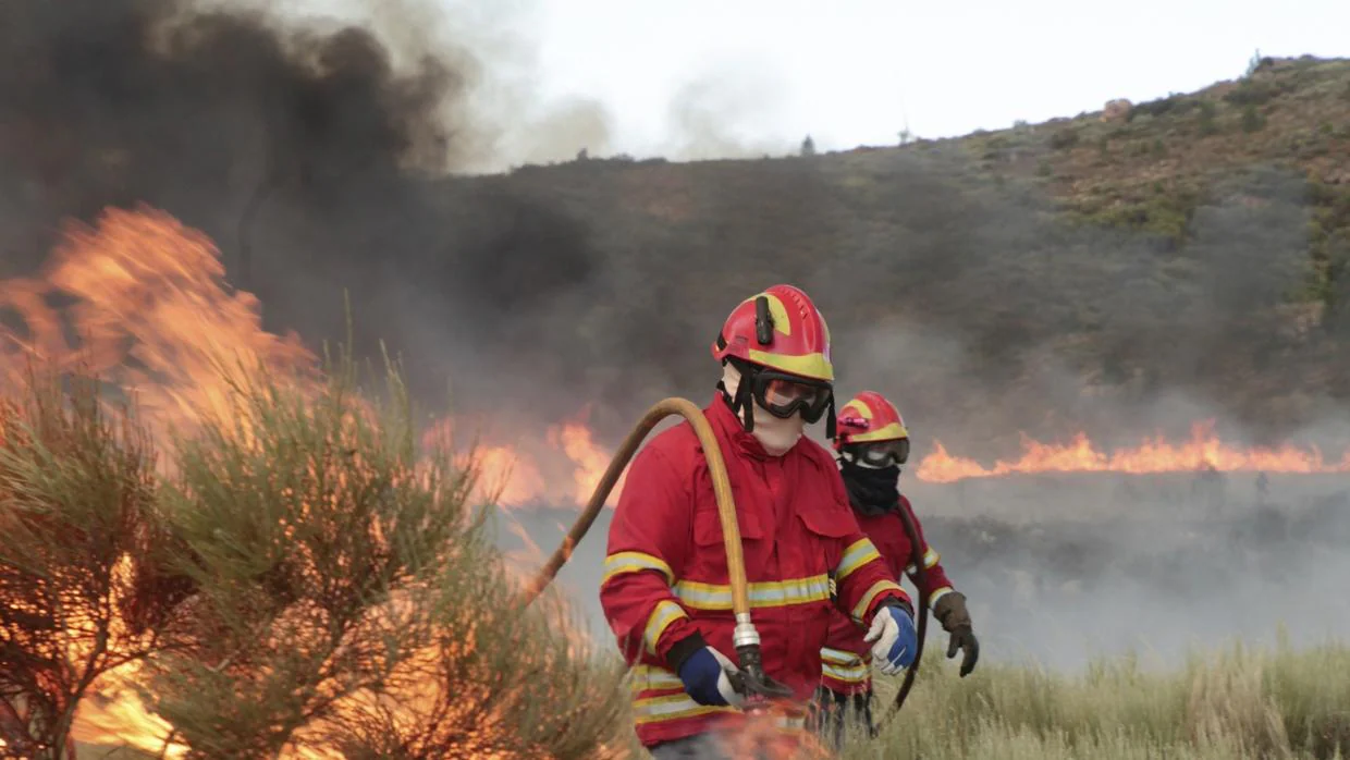 Bomberos trabajan en labores de extinción de un incendio en Portugal