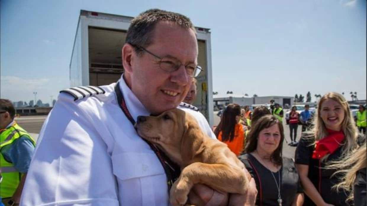 Piloto de la aerolínea junto con perro rescatado