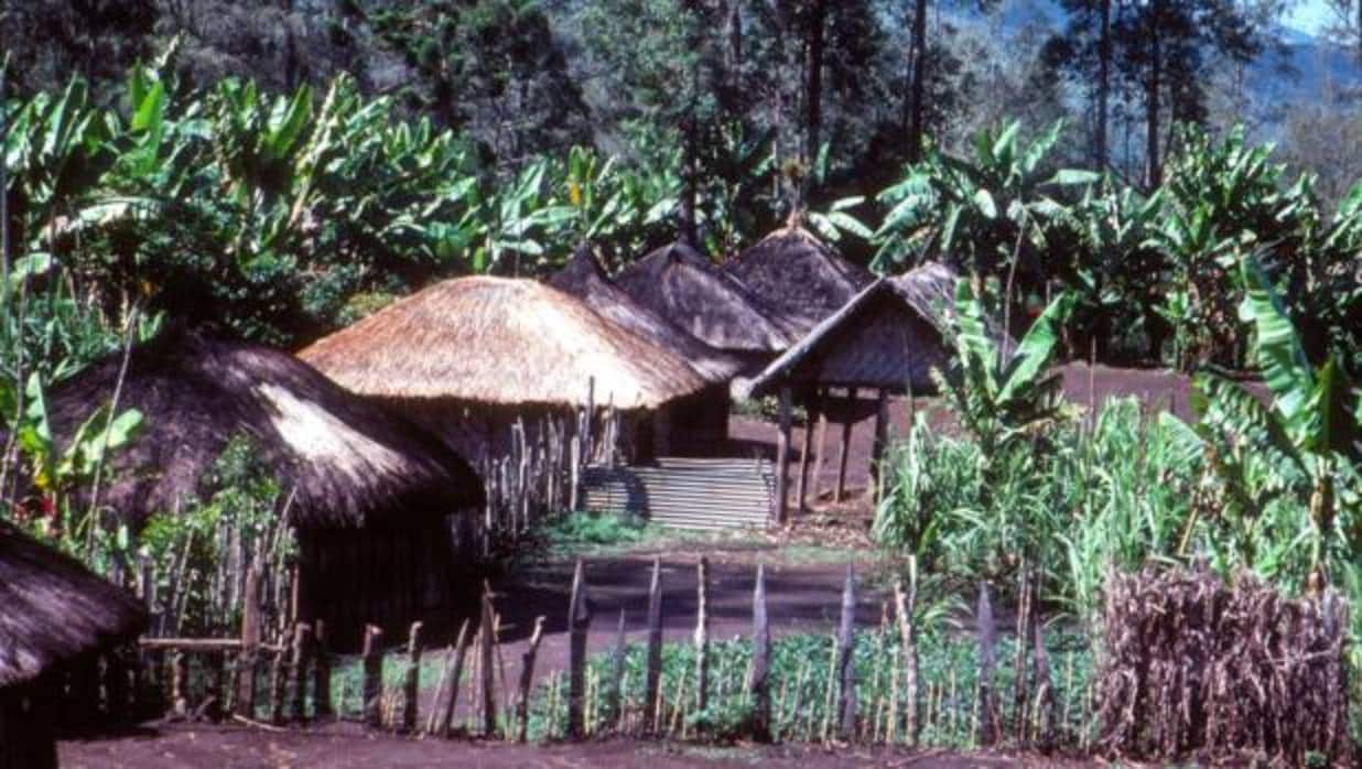Descubren que la población de Papúa Nueva Guinea tiene enormes diferencias genéticas