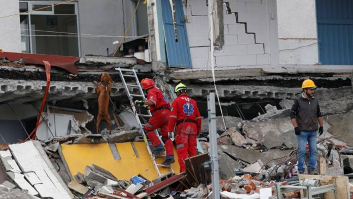 Un equipo de rescate busca supervivientes entre los escombros de un edificio derruido en México D.F.
