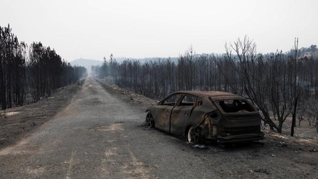 Portugal bate su propio récord al registrar más de 400 incendios en un día