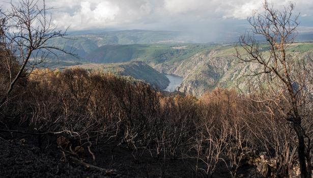 La lluvia en las zonas incendiadas puede provocar un «chapapote» en los ríos y arroyos