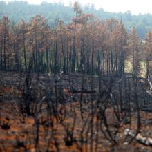 Las 6 noticias que debes saber hoy, miércoles 18 de octubre