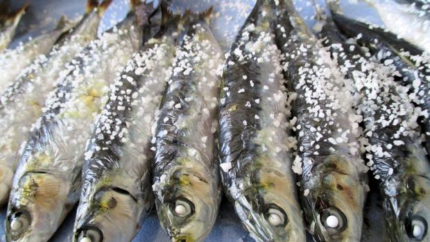 Las reservas de sardinas se agotan en el Atlántico y Cantábrico