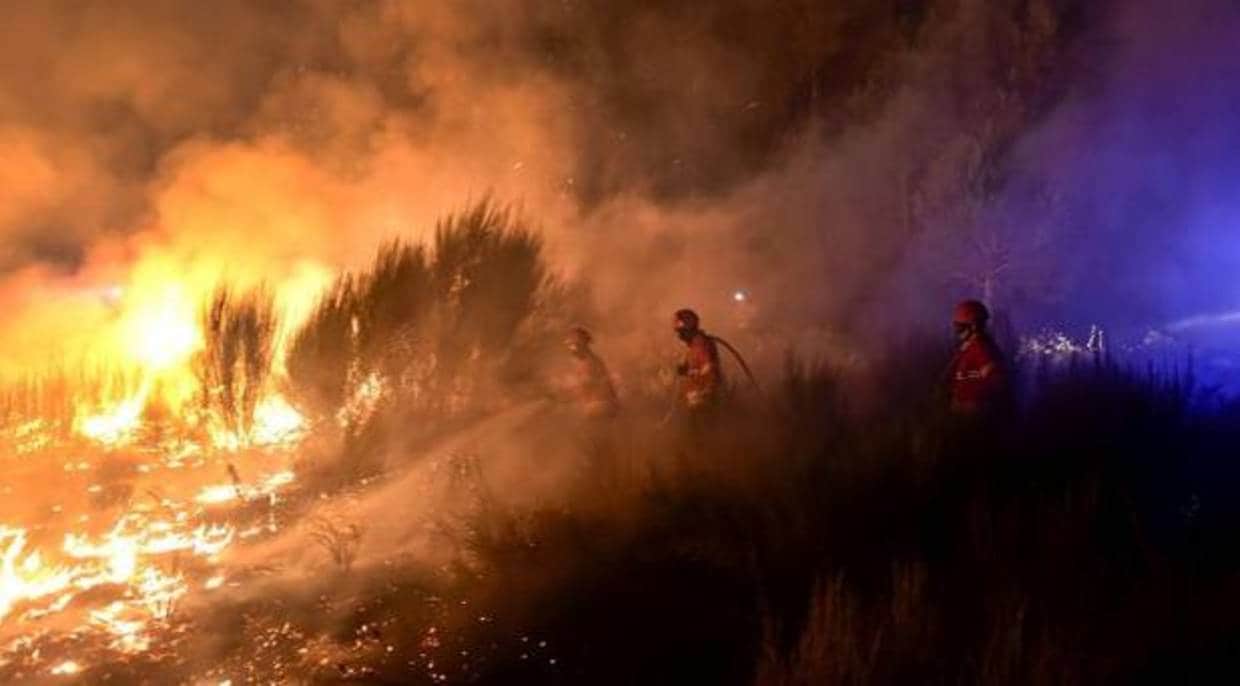 Bomberos tratando de apagar el fuego en la región de Viseu (Portugal)