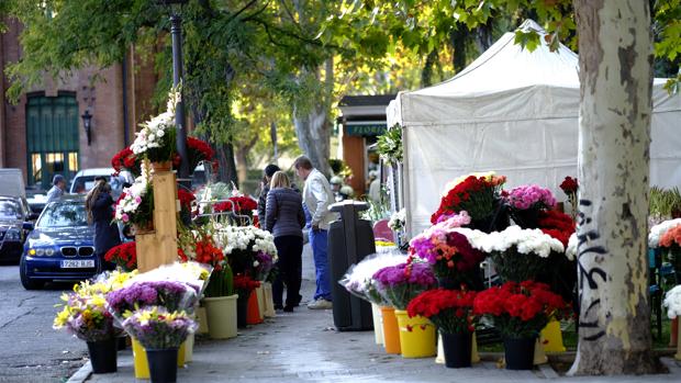 Los floristas se juegan entre el 20% y el 50% de las ventas del año en el Día de Todos los Santos