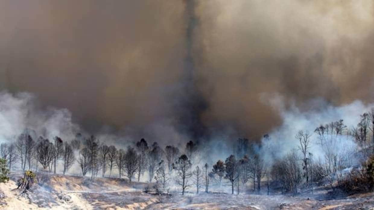 Una cadena de incendios salvajes arrasaron California el octubre pasado