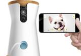Furbo es la primera cámara para perros conectada que lanza sus galletas favoritas y al mismo tiempo permite a los dueños jugar con sus mascotas a distancia