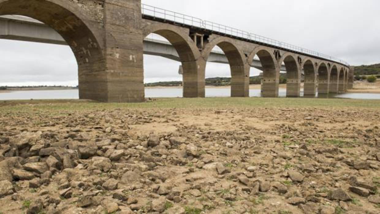 Nace SOS Sequía, una plataforma ciudadana para concienciar sobre la falta de agua