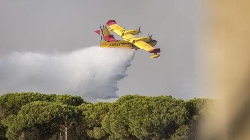 as altas temperaturas provocaron un incendio en uno de los espacios de mayor valor ecológico de Europa: el Parque Nacional de Doñana