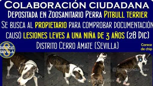 El perro atacó a la niña de tres años el jueves en el Cerro Amate