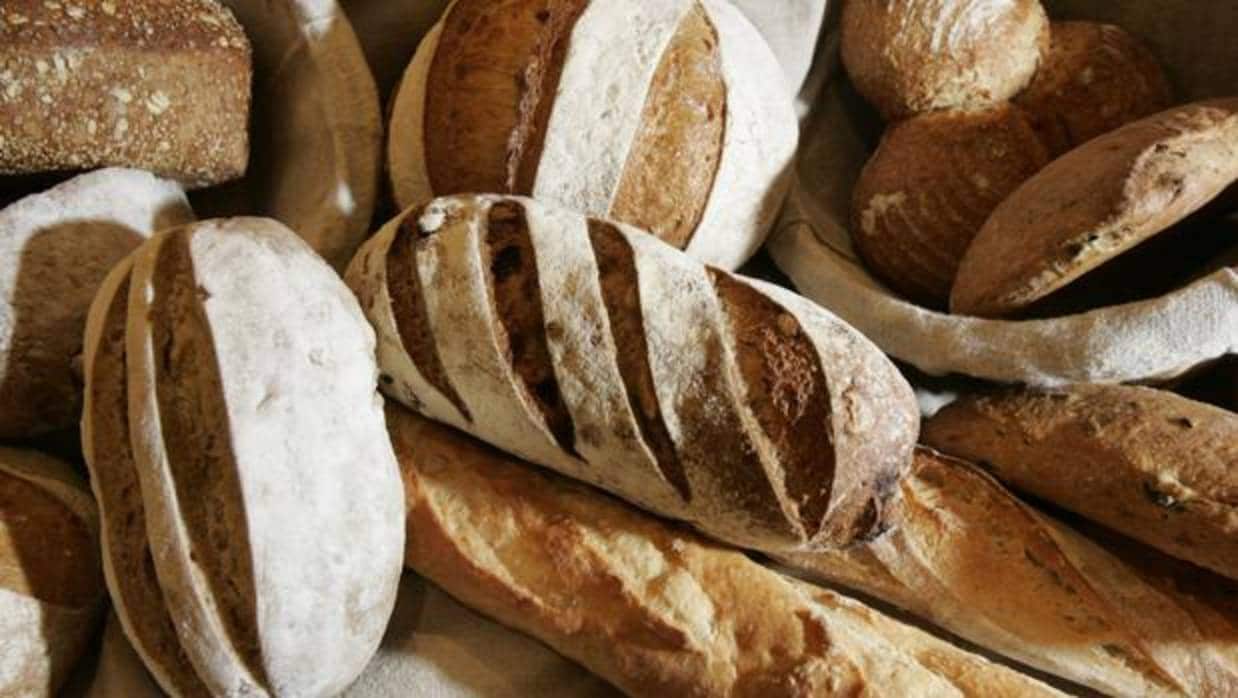 ¿El pan blanco favorece el sobrepeso más que el pan integral?
