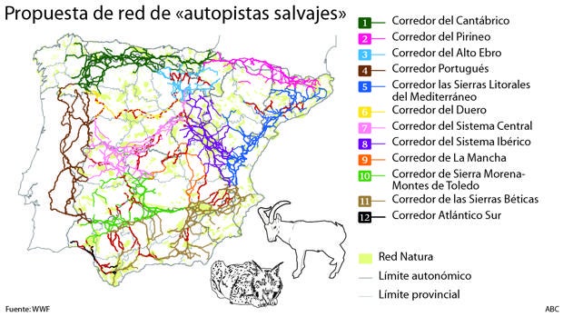 Rescate de las autopistas sí, pero de las naturales