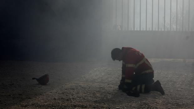 Portugal paga 31 millones de euros a las víctimas de los incendios de 2017