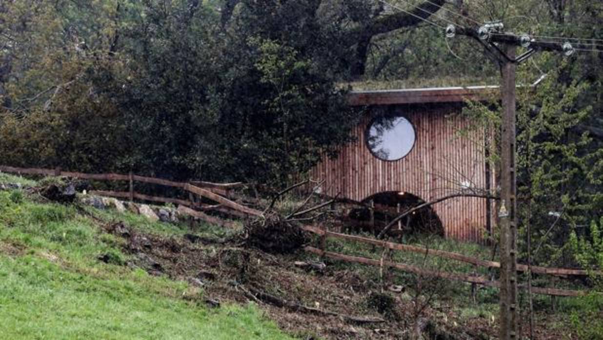 El niño de 5 años que ha resultado herido grave en San Sebastián ha quedado atrapado por un árbol de unos 15 metros que ha caído dentro del parque educativo medioambiental Ekogune y ha tenido que ser rescatado por los bomberos con material de excarcelación de vehículos, han informado fuentes municipales. La Fundación Kutxa, propietaria de este parque frecuentado habitualmente por excursiones escolares, ha emitido un comunicado en el que precisa que el suceso ha tenido lugar sobre las 9.45 horas, cuando un árbol ha caído sobre una de las casas de madera ubicadas en este recinto.