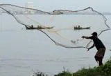 El panga procede del río Mekong en Vietnam, uno de los más contaminados