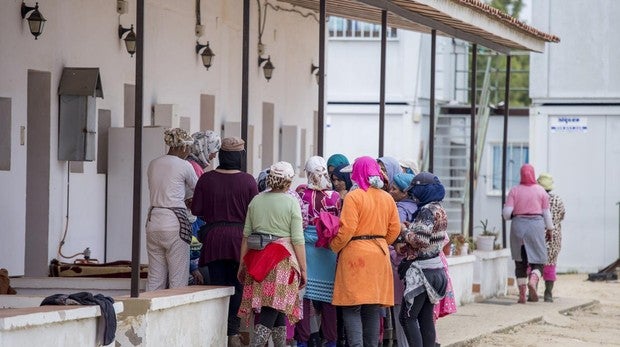 Casadas y con hijos: las condiciones que deben cumplir las temporeras marroquíes de Huelva