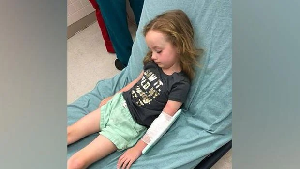 Una niña de cinco años sufre parálisis repentina por la picadura de una garrapata
