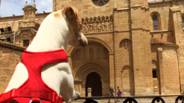 La vuelta a España de Pablo y el perro Pipper