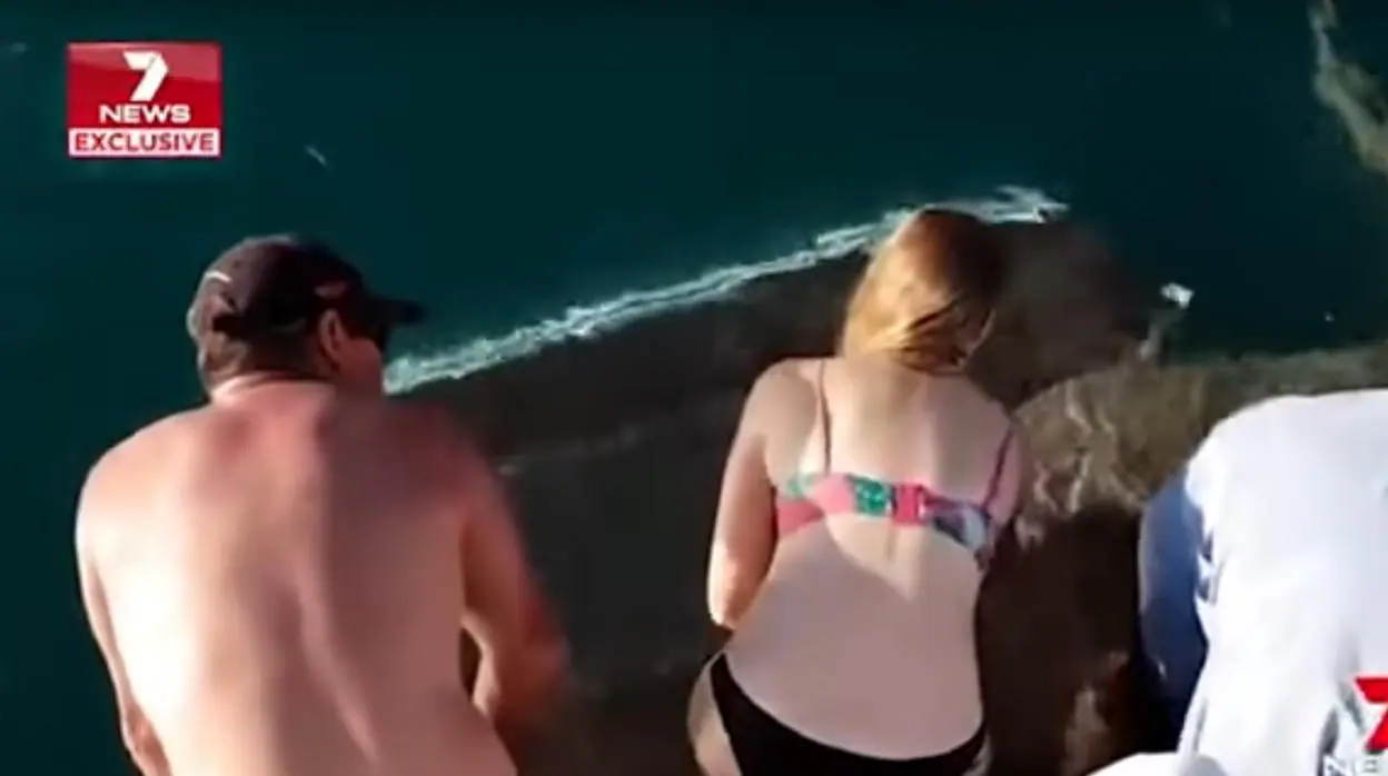 Una mujer intenta alimentar a un tiburón desde un barco