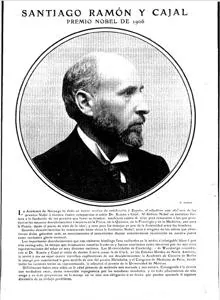 Blanco y Negro se hacía eco en 1906 del Nobel de Medicina que Ramón y Cajal compartió en con Camillo Golgi «en reconocimiento por su trabajo sobre la estructura del sistema nervioso». Acuñó una revolucionaria teoría que se llamó «doctrina de la neurona».