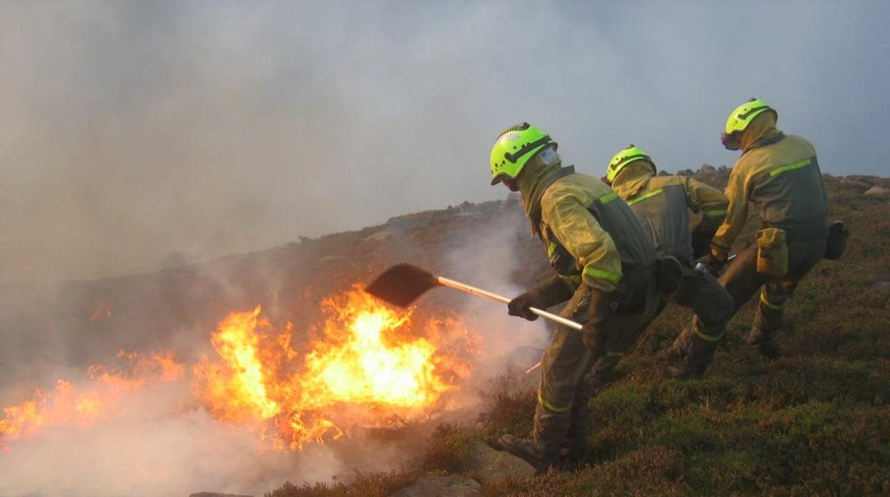 Bomberos tratan de apagar un incendio forestal