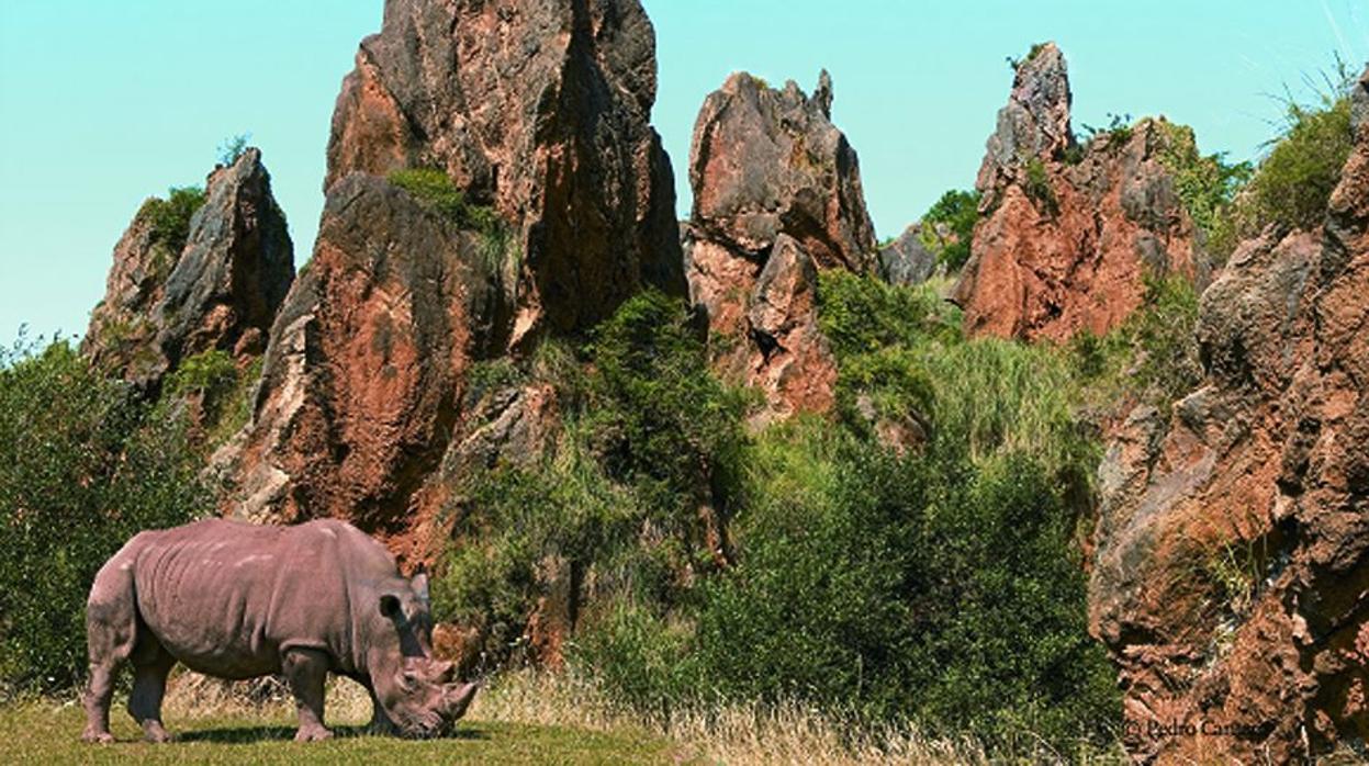 Parque de la Naturaleza de Cabárceno