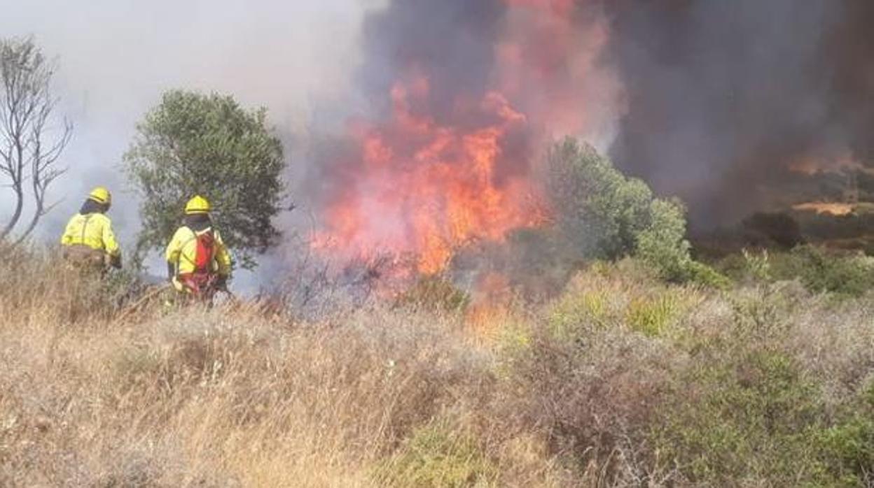 Incendio forestal en el paraje de Casares