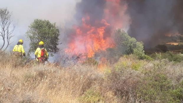 Continúa activo el incendio que afecta a un paraje de Casares (Málaga)