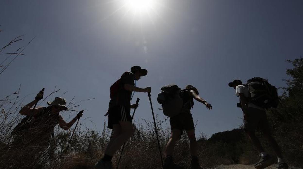 Un grupo de peregrinos realizan una de las etapas del Camino de Santiago, a la altura de la localidad navarra de Zabaldika, bajo un intenso calor