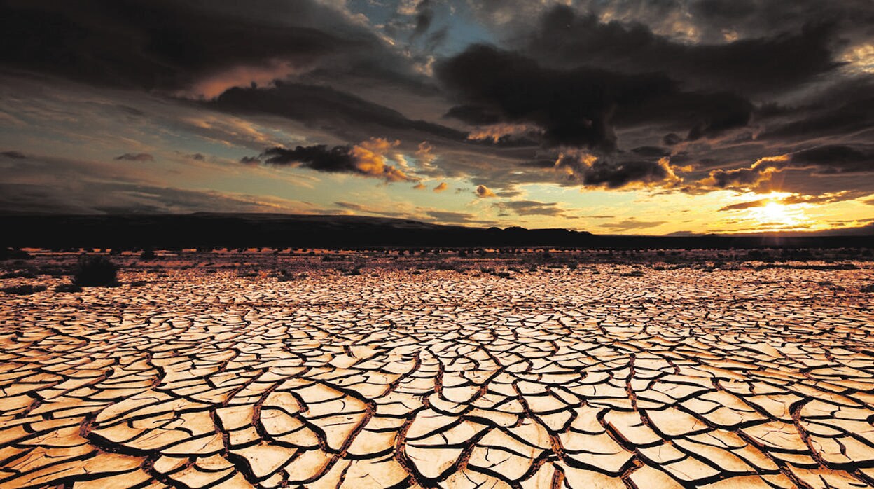 Más olas de calor y sequía, es el futuro que pronostican las nuevas investigaciones