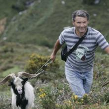 Un pastor pasea su ganado