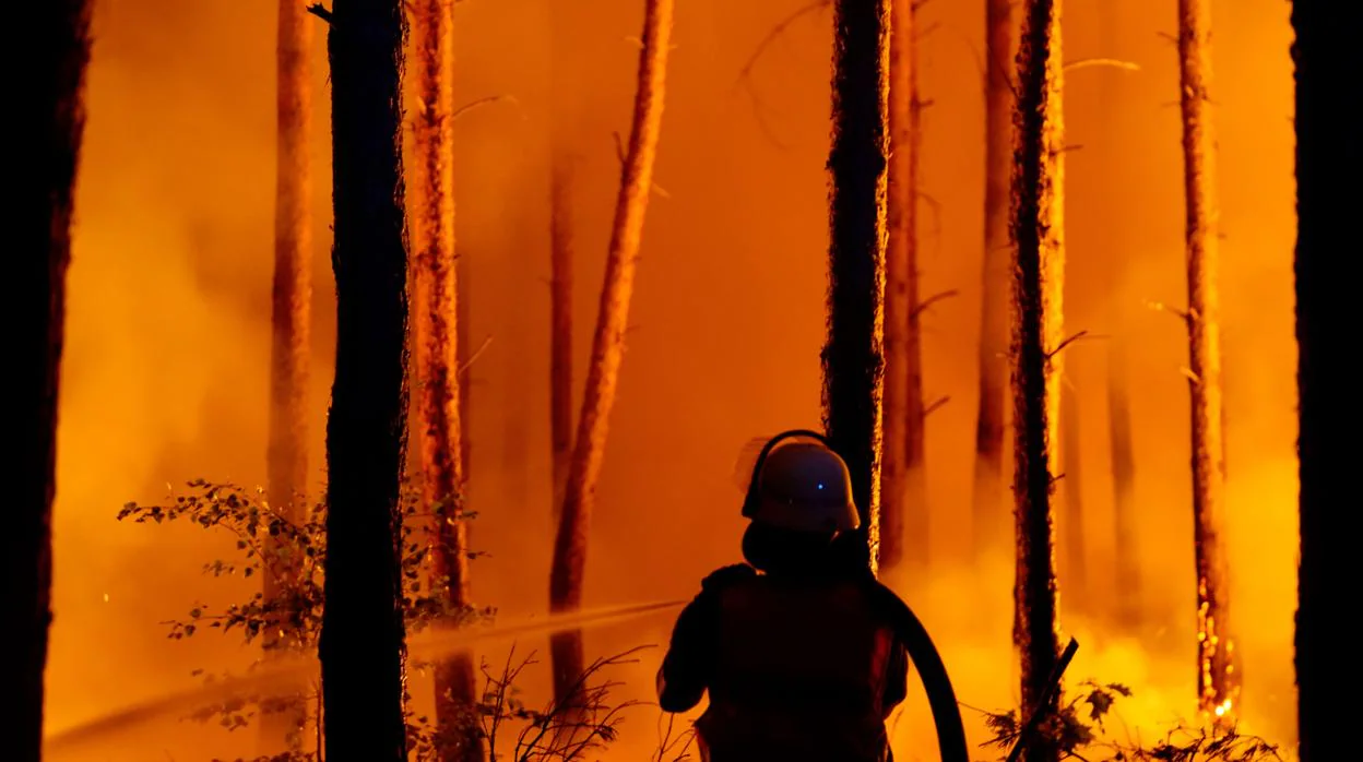 Bomberos trabajan para apagar un incendio forestal en Karlsdorf cerca de Treuenbrietzen en el sur de Brandenburgo
