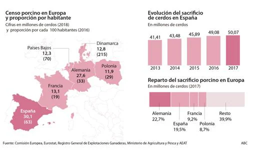 Censo del porcino en Europa y evolución del sacrificio en España