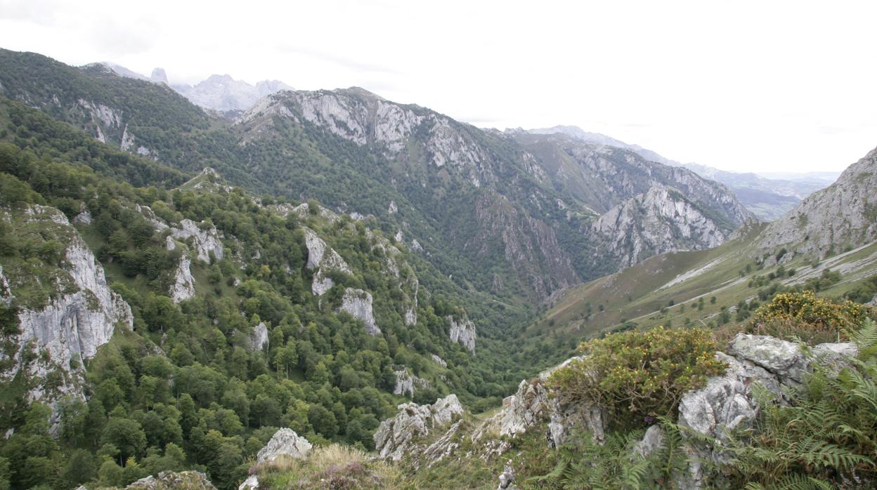 Imagen de archivo de Picos de Europa