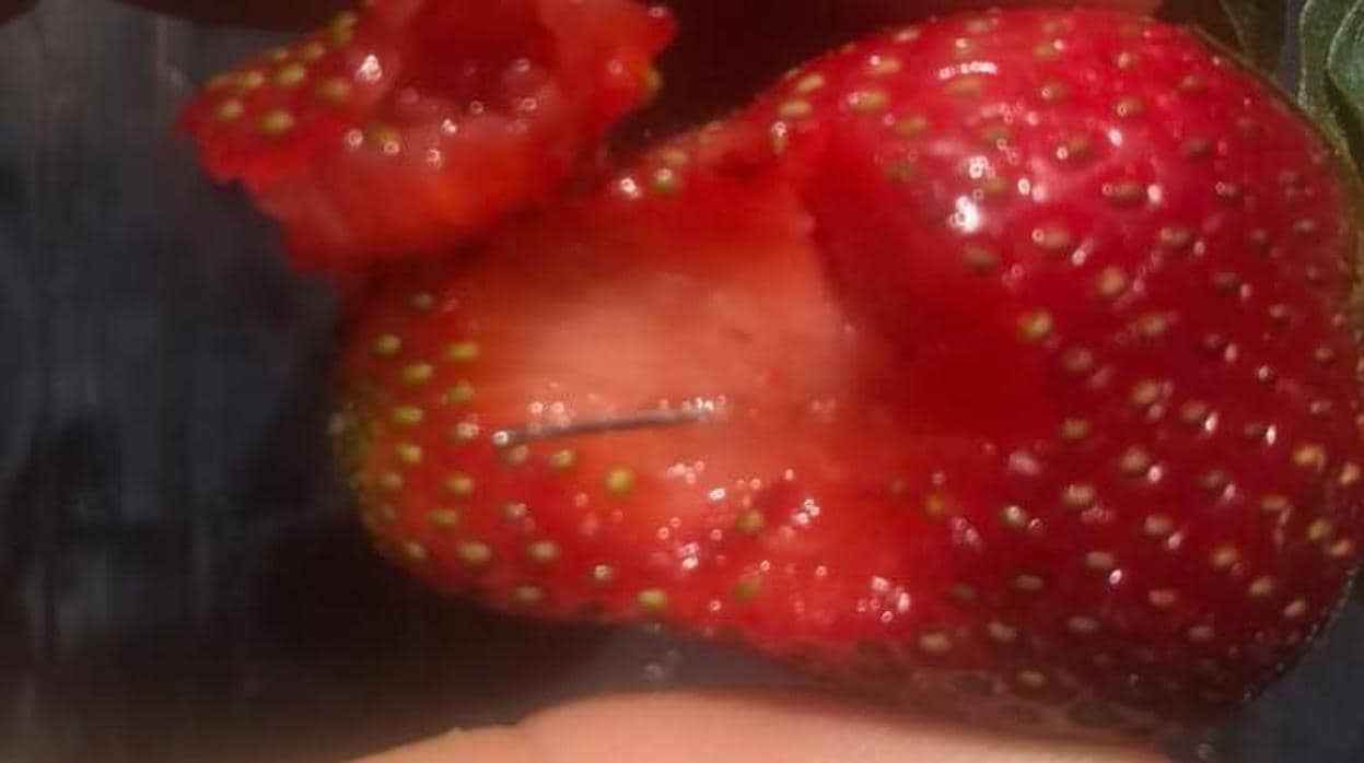 Una de las fresas con agujas en su interior