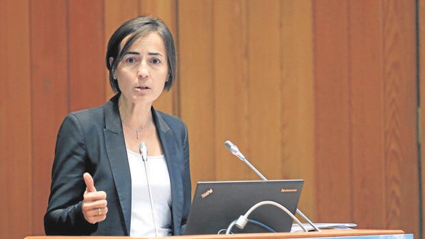 María Seguí habla sobre el «miedo» a modificar los límites de velocidad: «No se tocan por cobardía»