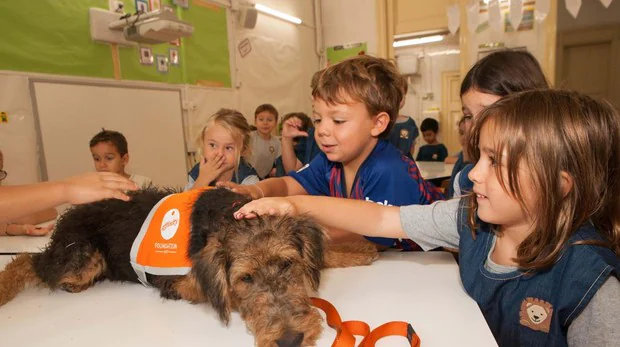 Un colegio de Barcelona recibe a los niños con perros para amenizar su primer día