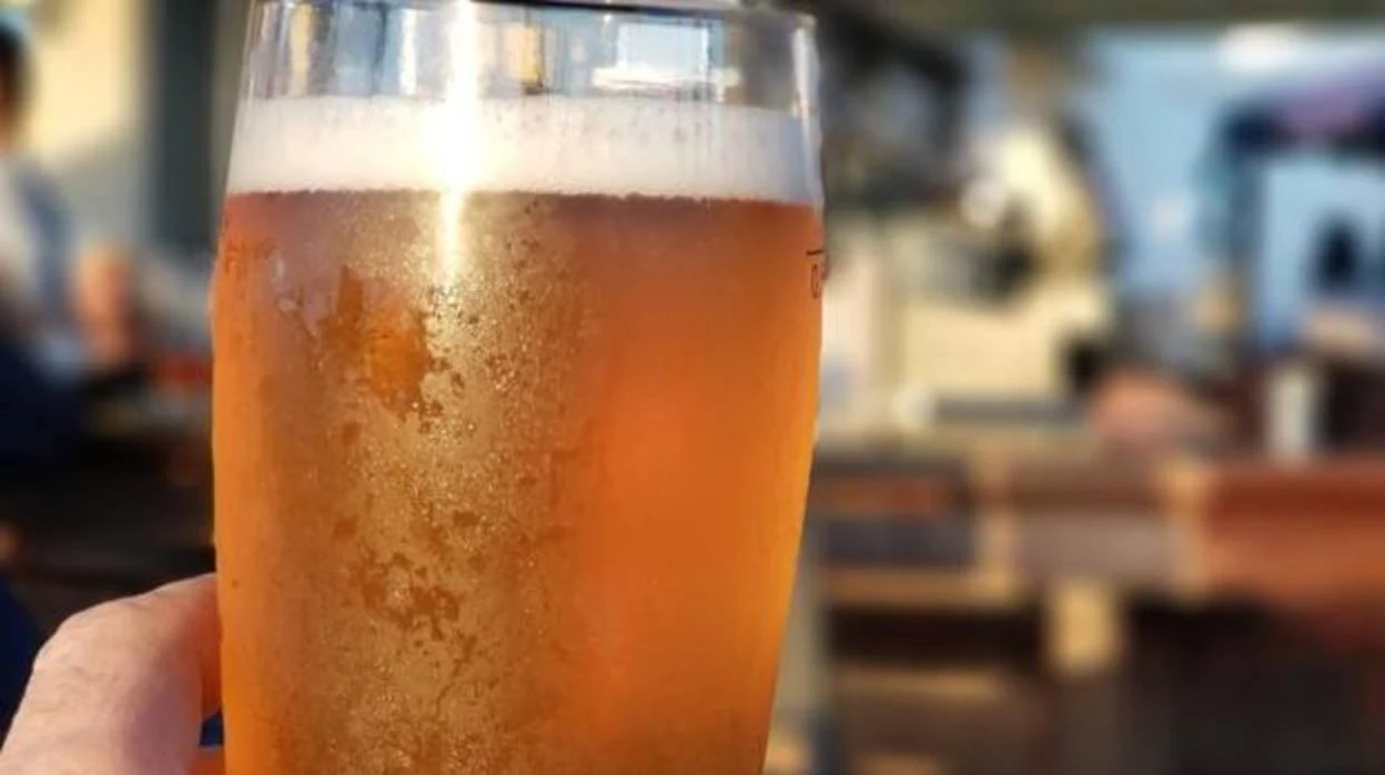 El consumo moderado de cerveza puede prevenir el alzhéimer, según un estudio