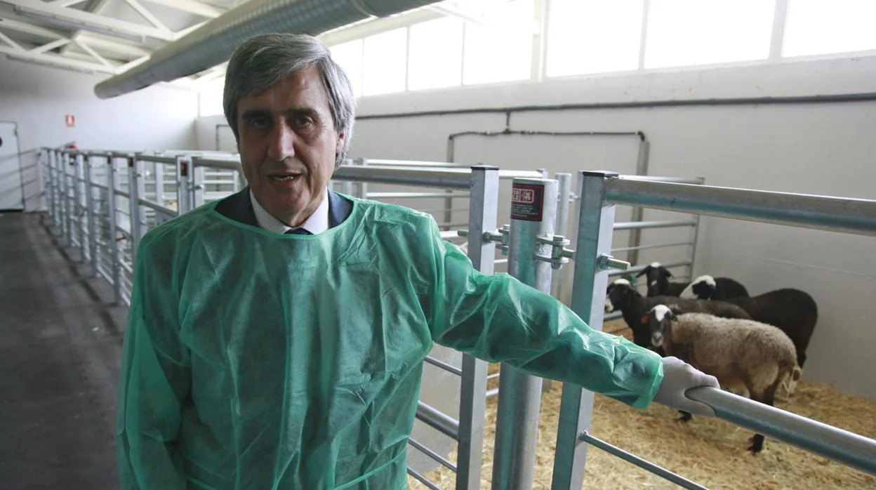 El experto Juan José Badiola afirma que «no hay que bajar la guardia», pese a que el mal de las «vacas locas» está contenido y se ha conseguido que solo aparezcan casos aislados