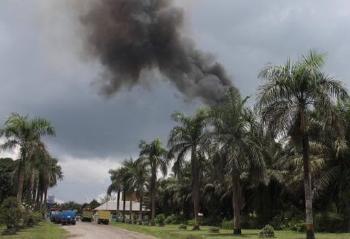Una columna de humo asciende de una plantación de aceite de palma junto al parque natural de Tanjung Puting, al sur de la región indonesia de Kalimantan en la isla de Borneo
