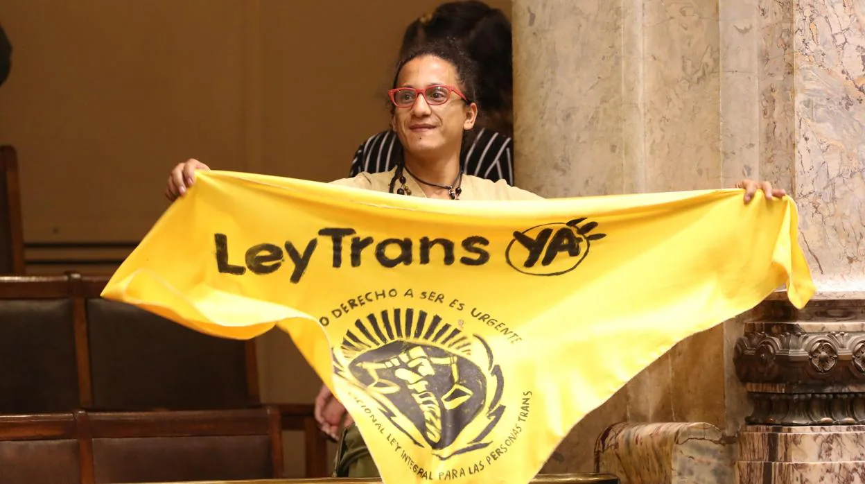 Integrantes de colectivos trans asisten desde la tribuna de invitados al pleno celebrado el pasado 19 de octubre