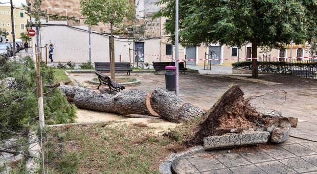 Buscan a una turista francesa arrastrada por una ola en una zona costera del sureste de Mallorca