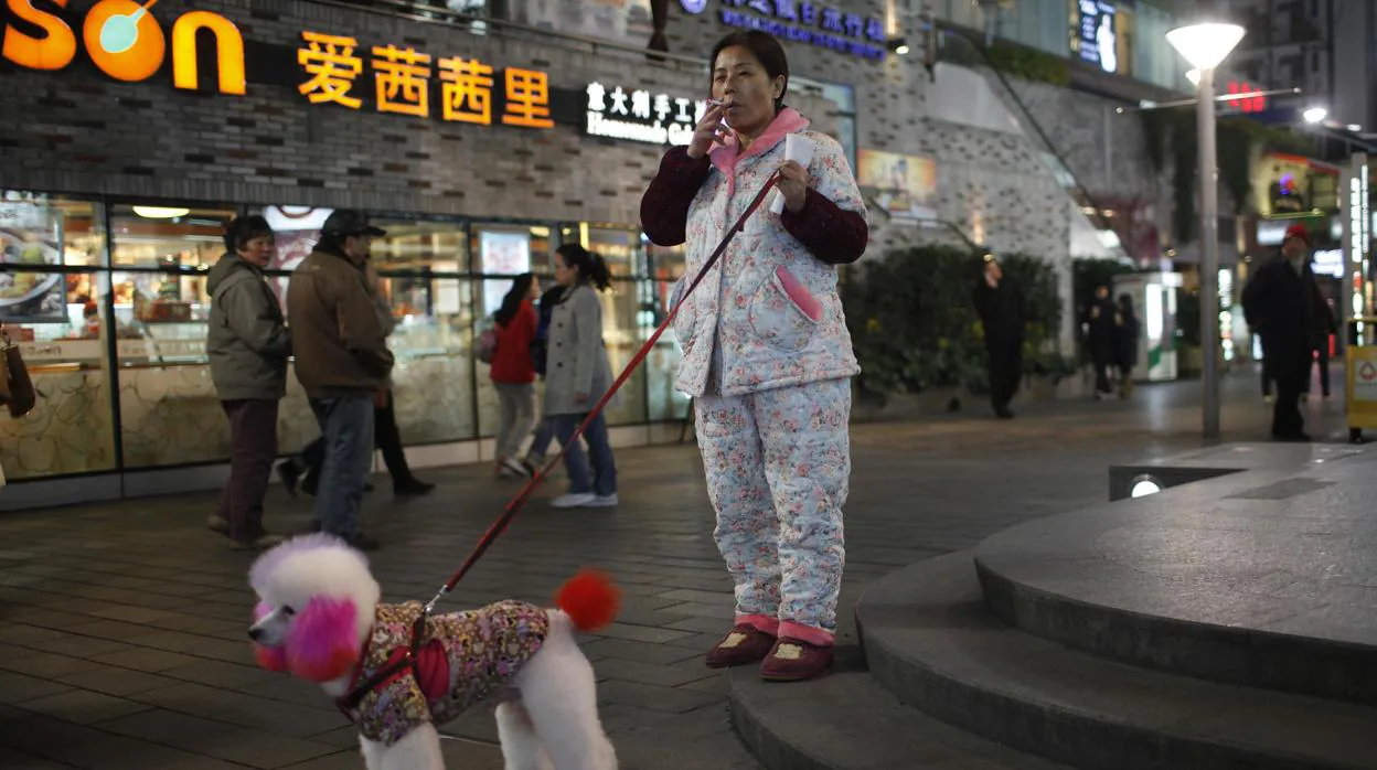 Imagen de archivo. Una mujer pasea a su perro en China en el año 2011