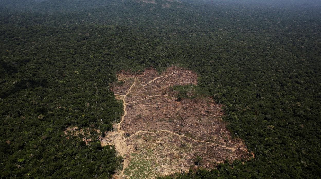 Zona del Amazonas en Brasil, recientemente deforestada por agricultores