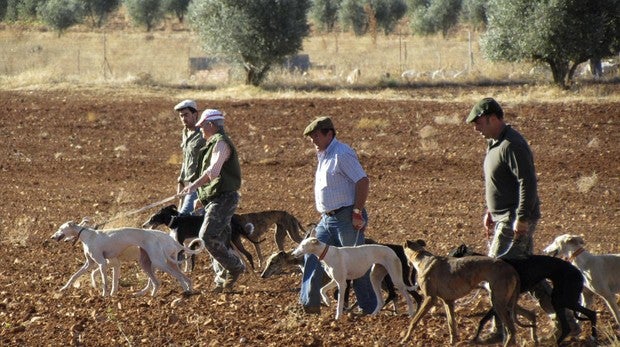 Ribera desdeña a la caza como motor del desarrollo rural y sostén de la ecología