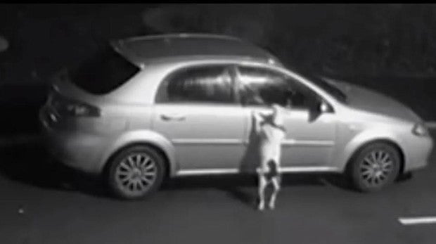 El desolador vídeo que muestra la desesperación de un perro cuando su dueño lo abandona en la calle