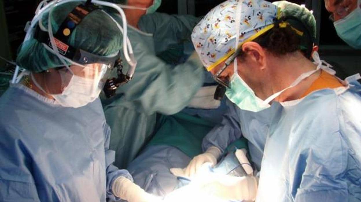 España alcanza máximos históricos en trasplante renal y pulmonar