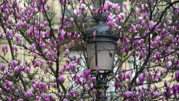 Se adelanta la primavera: temperaturas de más de 20º y sin lluvias hasta el próximo viernes