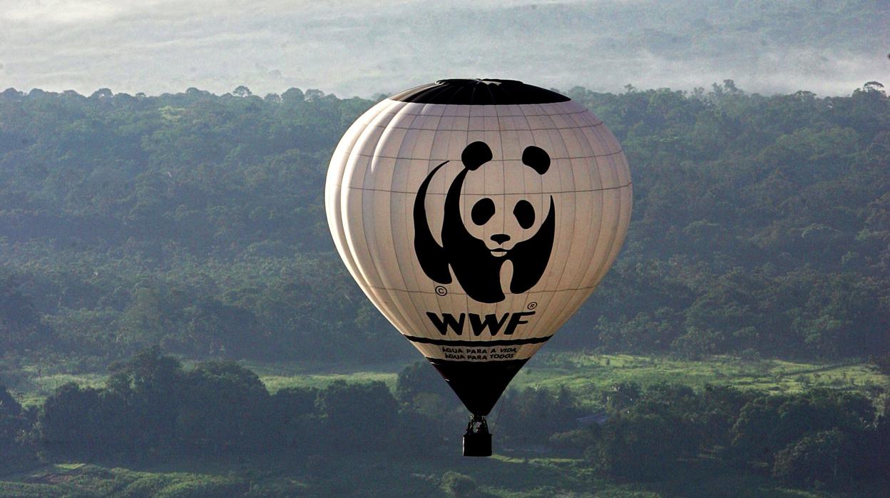 Logo de WWF